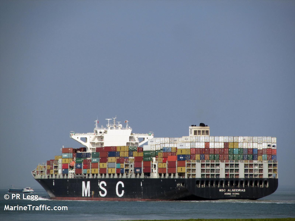 資料顯示，Joseph Schulte 現有名稱應為 MSC ALGECIRAS。  （marinetraffic.com 圖片）