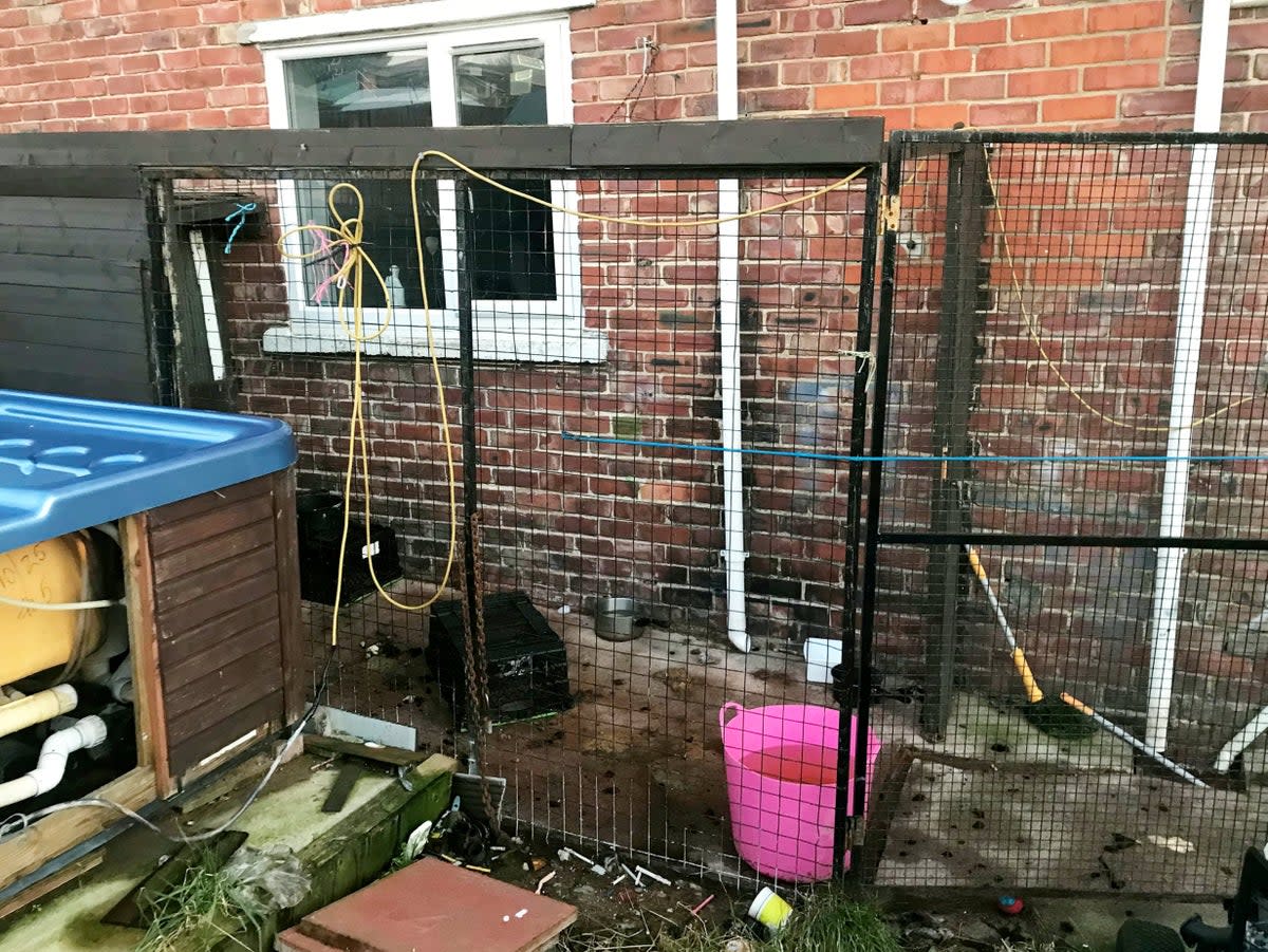 The animals had no food or water in the filthy yard (RSPCA / SWNS)