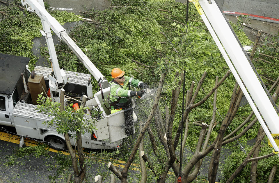 A work crew removes branches from a tree on Mission Street in San Francisco, Thursday, Jan. 17, 2019. Heavy rain, snow and wind pummeled much of California Thursday, causing at least five deaths, leaving thousands without power and forcing wildfire victims threatened by floods to flee their homes. (AP Photo/Jeff Chiu)