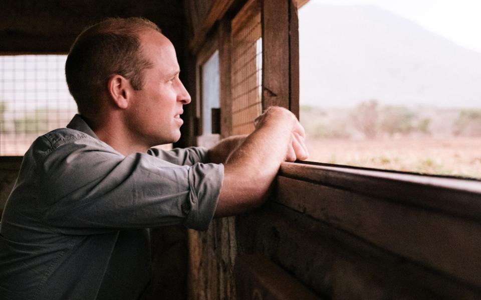 Prince William filmed in Tanzania for the documentary - ITV