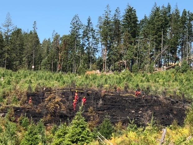 Gogo's Christmas Tree Farm, located at 2625 S. Forks Rd. just south of Nanaimo, B.C., suffered a fire that burned about 1,000 mature, pruned Christmas trees. (Submitted by Mildred Pamplona - image credit)