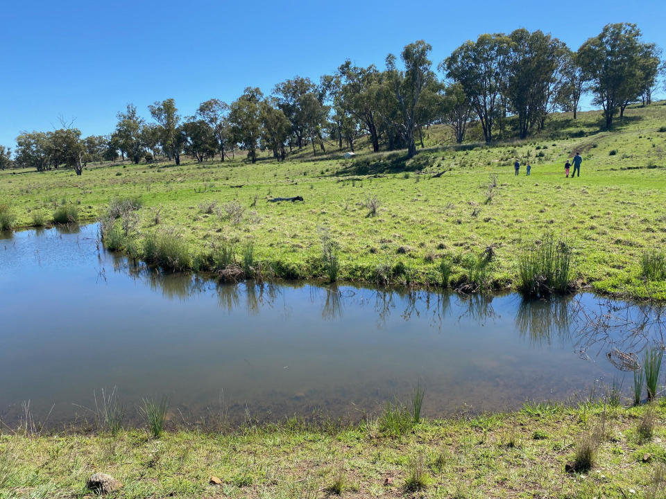 Pictured is the full creek and greenery in October 2021.