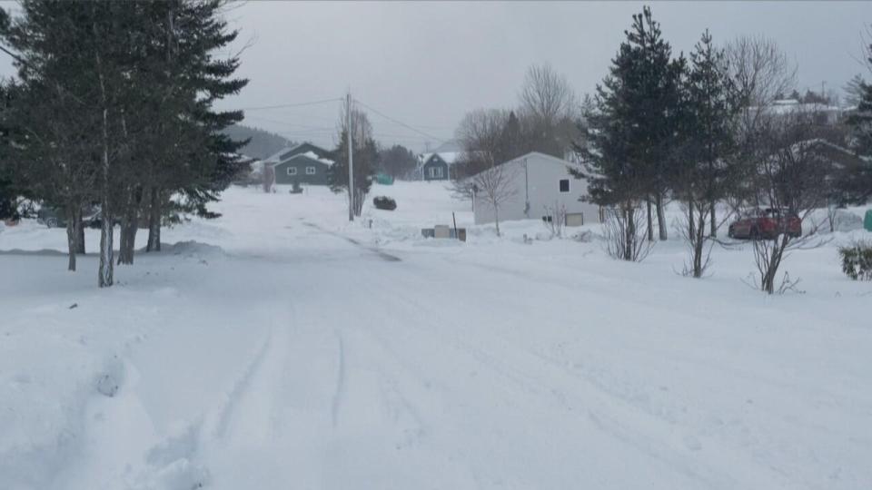 Heavy snow and winds battered Corner Brook on Thursday, closing businesses and schools.