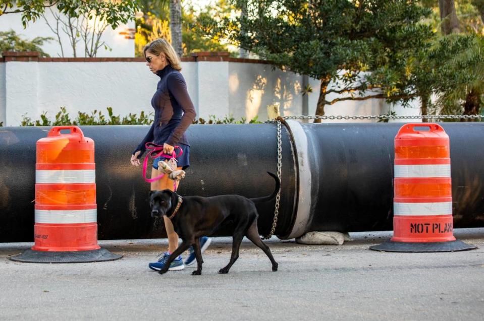 Rio Vista neighborhood resident Susan Contrick walks her dog past the temporary above-ground sewage pipe in Fort Lauderdale, Florida, on Tuesday, January 7, 2020.