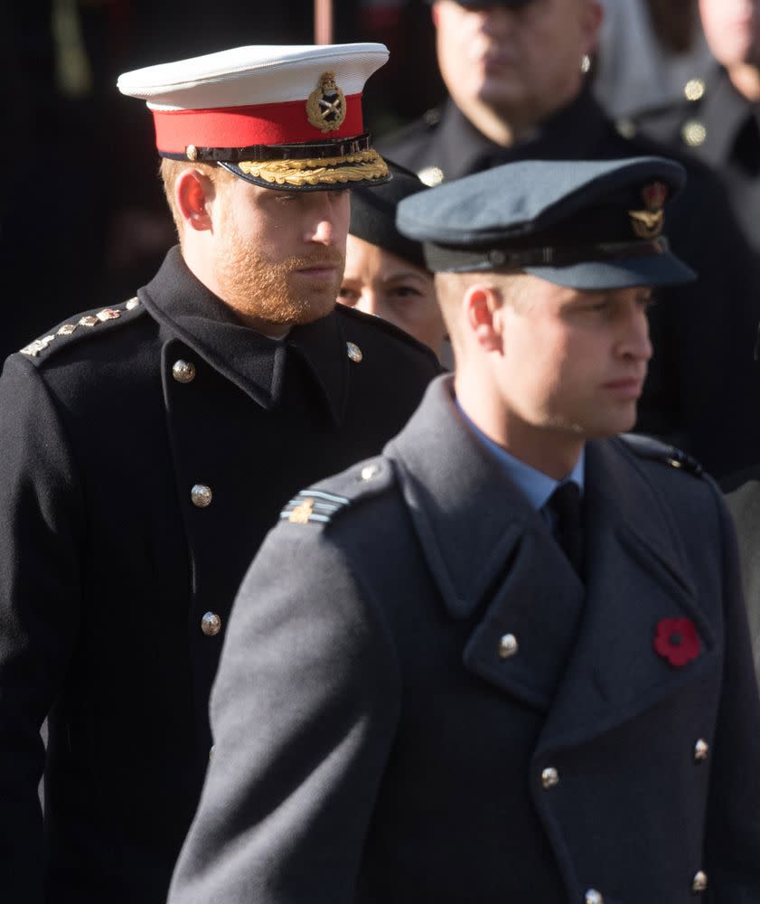 Prince Harry and Prince William | Samir Hussein/WireImage