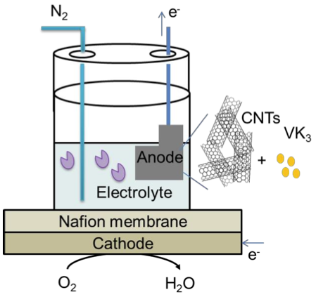 sugar battery