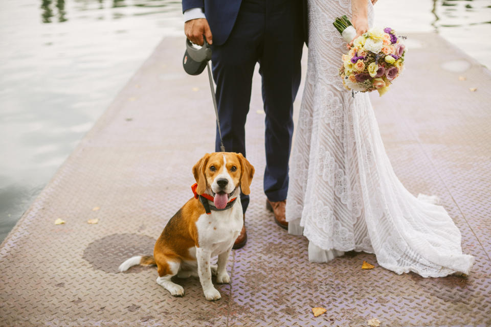 Braut und Bräutigam mit ihrem Hund