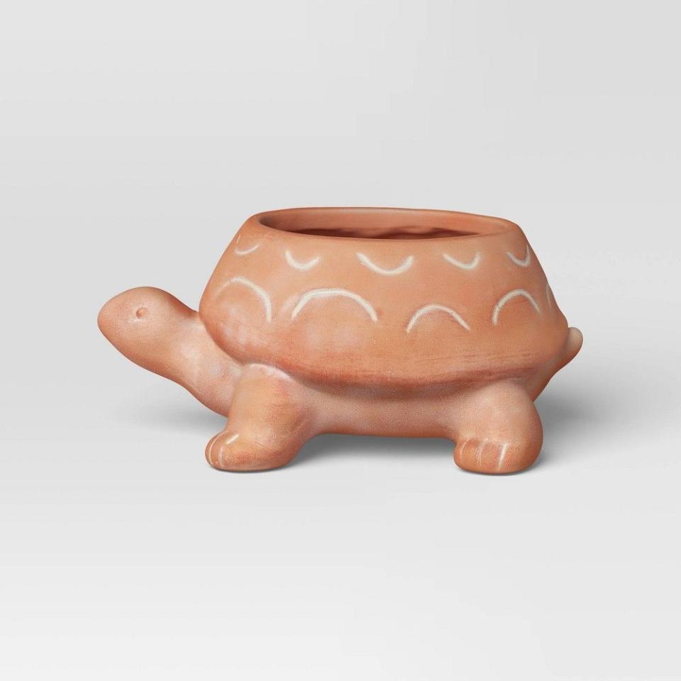 3) Turtle Terracotta Pot