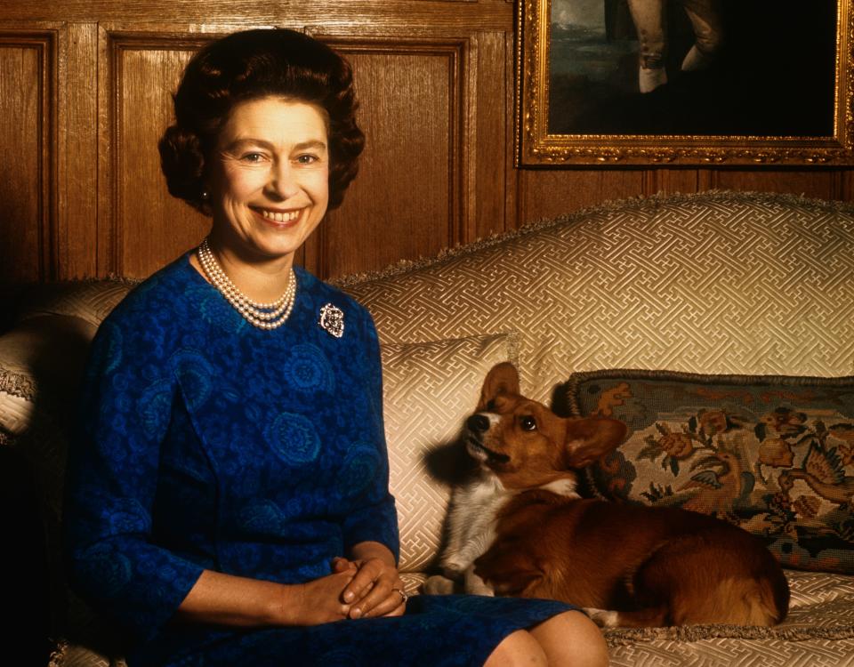 1970: Britain's Queen Elizabeth II smiles radiantly during a picture-taking session in the salon at Sandringham House on Feb. 4, 1970. Her pet dog looks up at her.