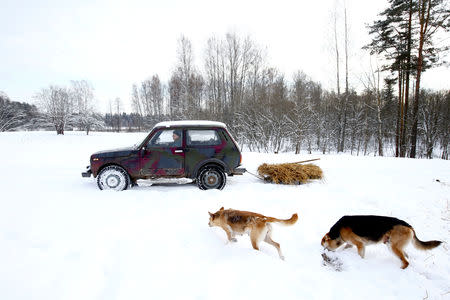 Yuri Baikov, 69, pulls a sledge with hay for animals at his small farm situated in a forest near the village of Yukhovichi, Belarus, February 7, 2018. REUTERS/Vasily Fedosenko