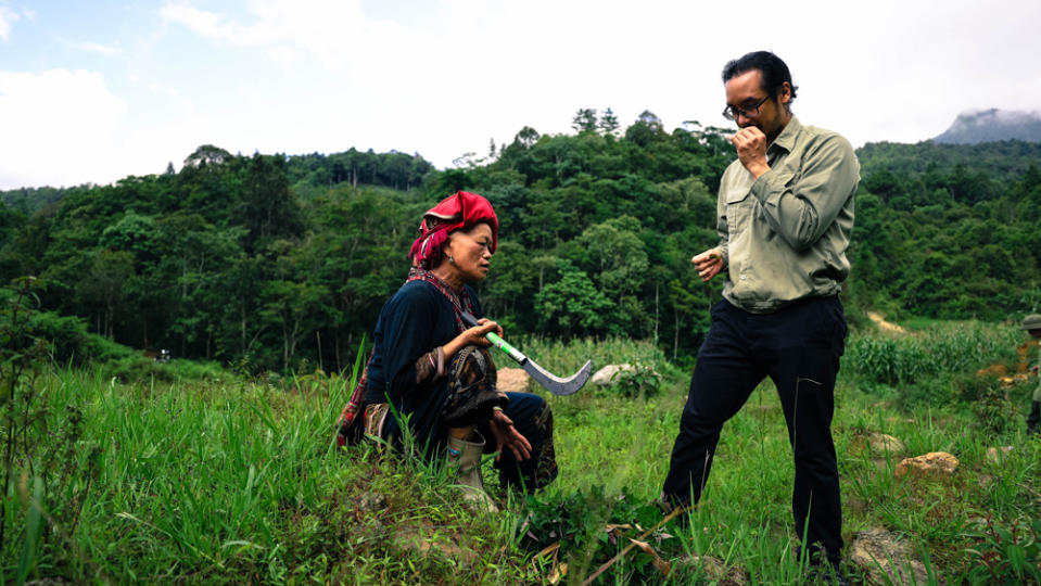 Foraging for ingredients in Vietnam. - Credit: Photo: courtesy Sông Cái Distillery