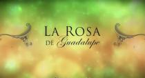 A pesar de las críticas desfavorables, las burlas en redes sociales y los memes, La Rosa de Guadalupe se mantiene como uno de los programas con más audiencia en la televisión mexicana. No en vano tiene 12 años al aire.