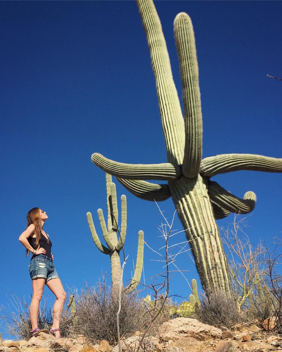 A woman looking up at giant cacti.