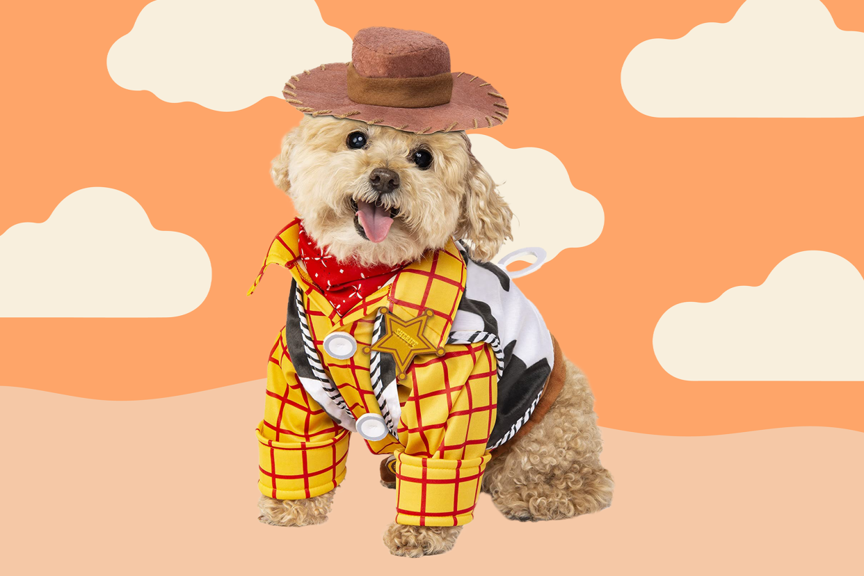 small dog version of a Woody Halloween costume