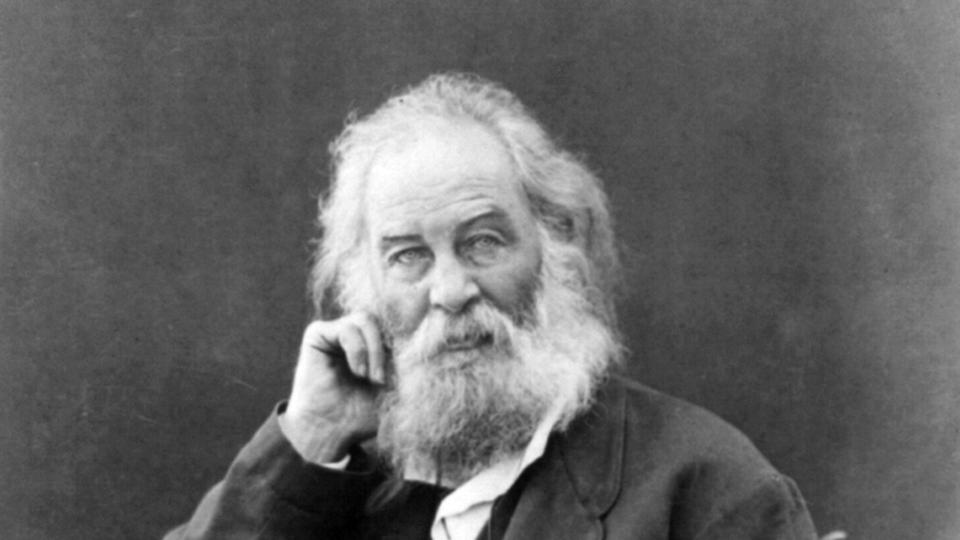 walt whitman sitting in a chair and blancing his head on his right hand