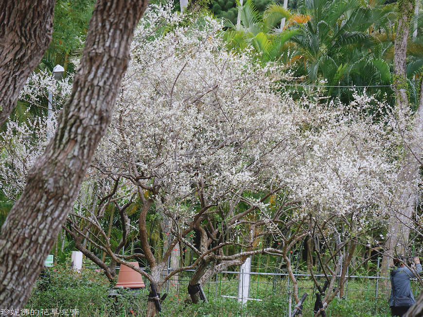 台北｜士林官邸公園