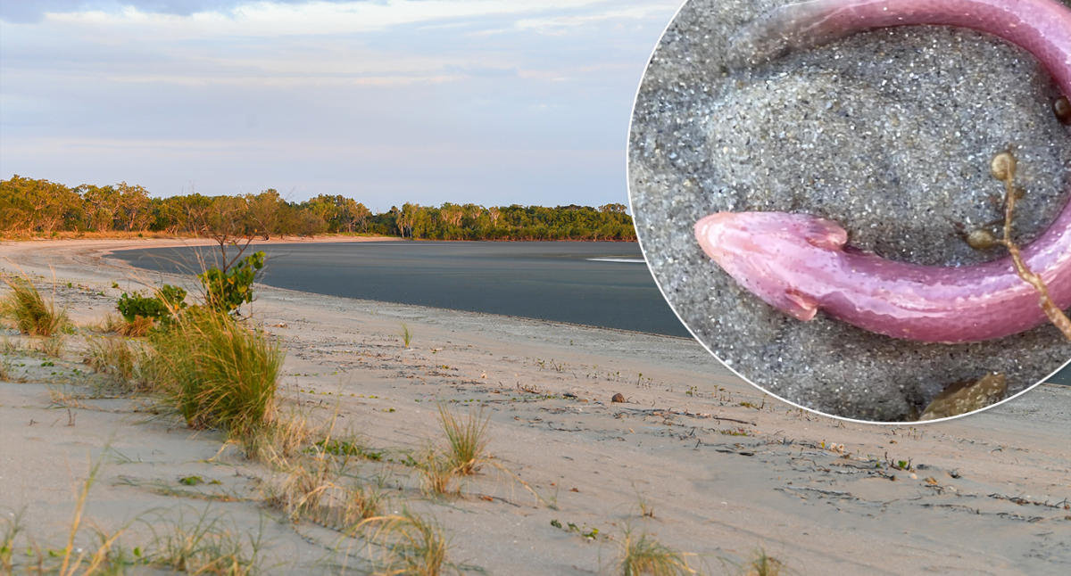 Locals warned to stay away after Australian swamp mysteriously turns pink