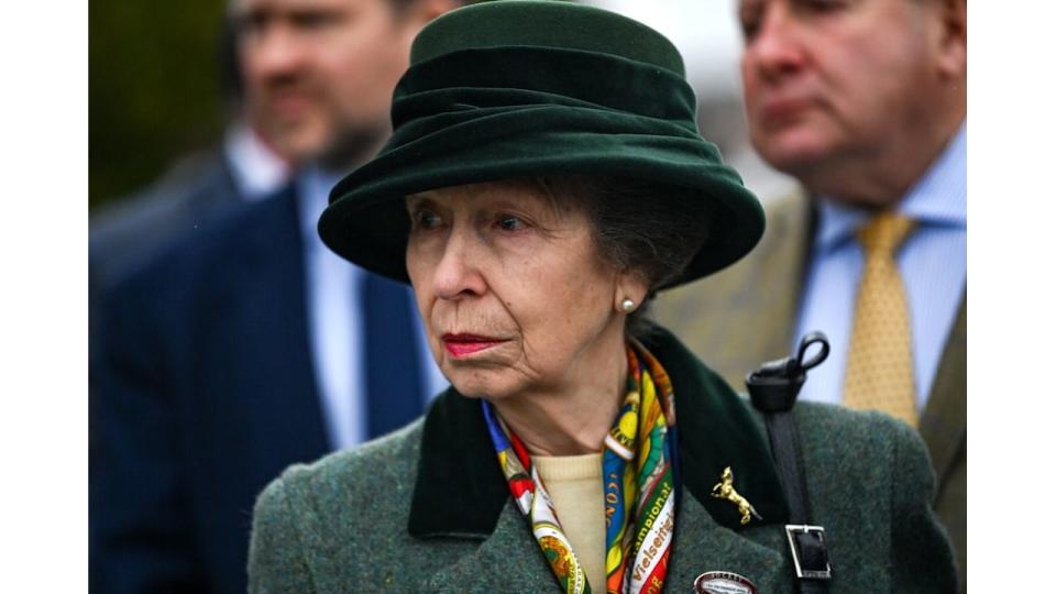 Princess Anne in green