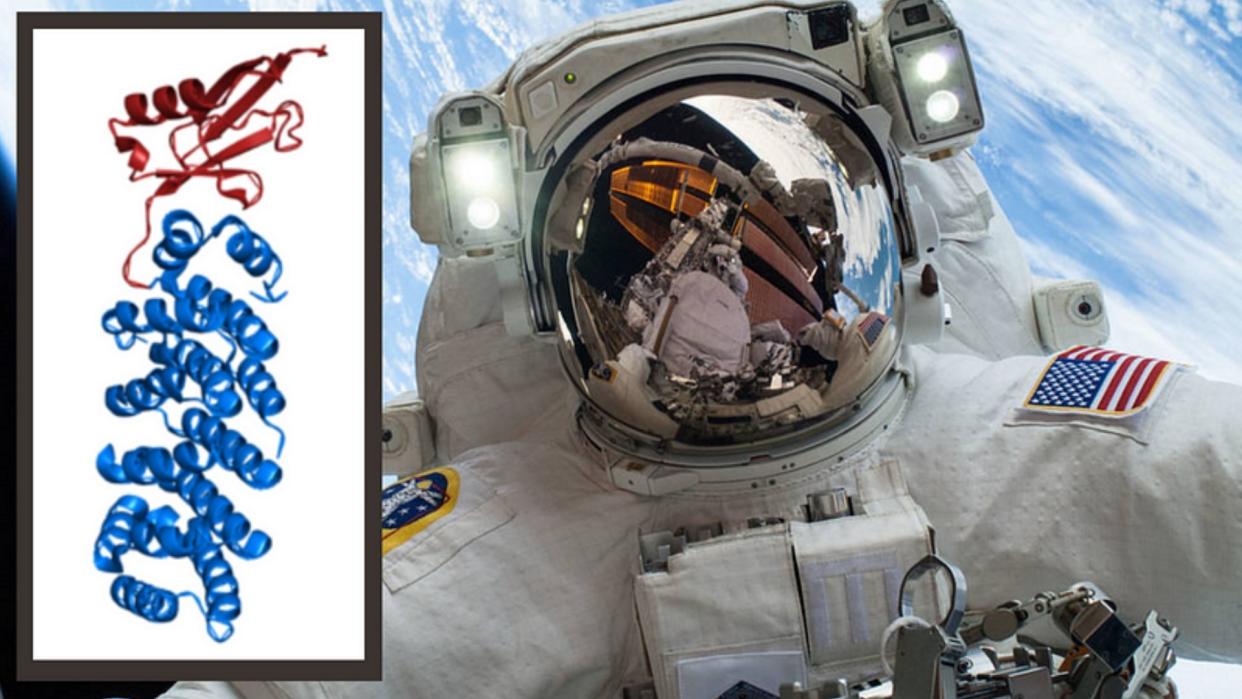  an astronaut floats in space beside a superimposed graphic of a protein 