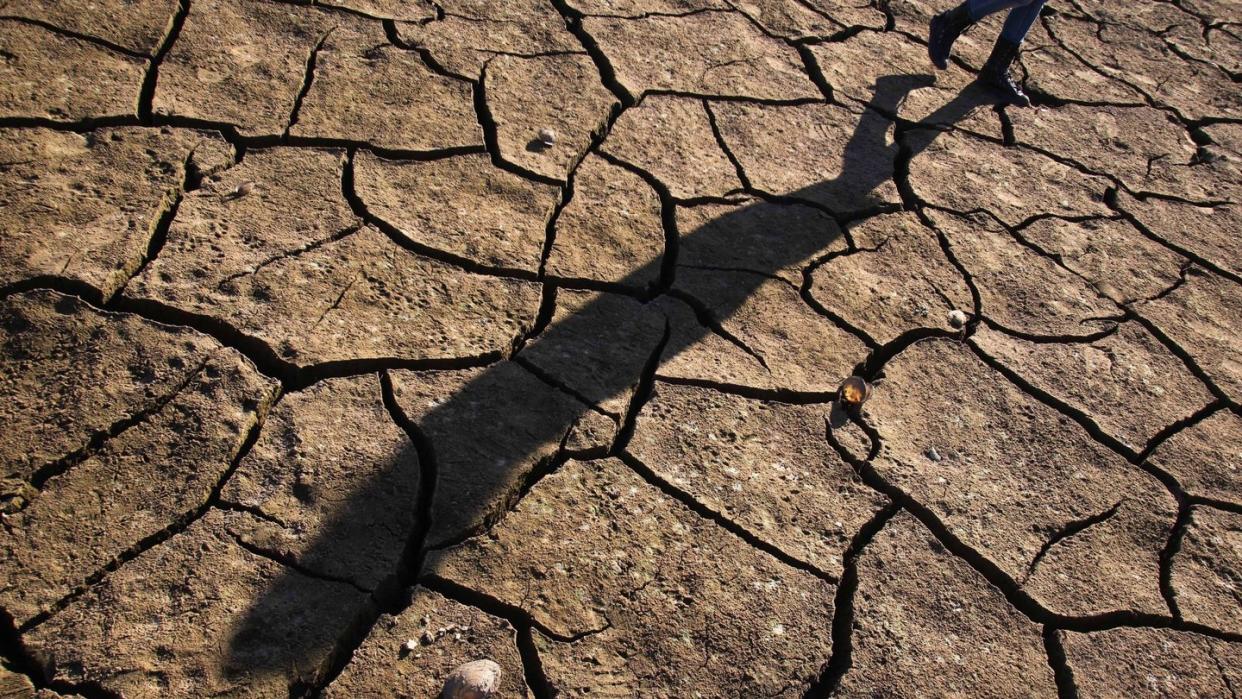 Ausgedörrtes Land. Die Folgen des Klimawandels könnten einem Bericht der Weltbank zufolge Millionen Menschen innerhalb ihrer Heimatländer zur Flucht zwingen. Foto: Nuno Veiga/LUSA/Archiv