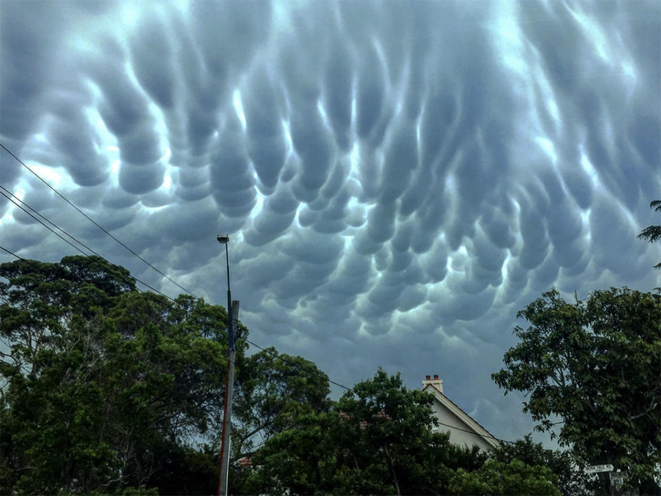 All the weather elements need to align for the nodules to form. Image: Twitter/DrSpeckles