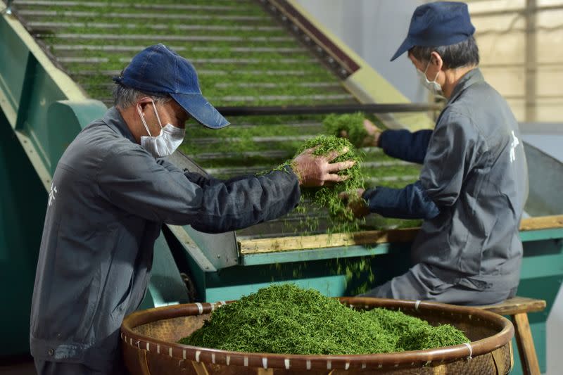 Employees work on the production line at a tea processing plant in Wuyi