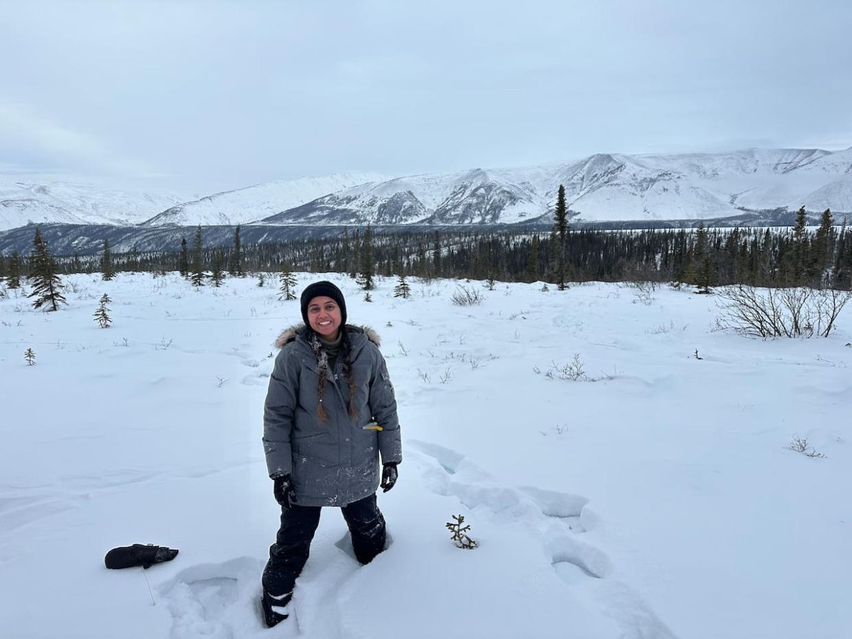 Manisha Singh, Nı́o Nę P'ęnę́ research manager with the Sahtu Renewable Resources Board in the N.W.T., in the field last month collecting caribou fecal samples. The goal is to learn more about the species' population and distribution by analyzing the samples.  (Submitted by Manisha Singh - image credit)