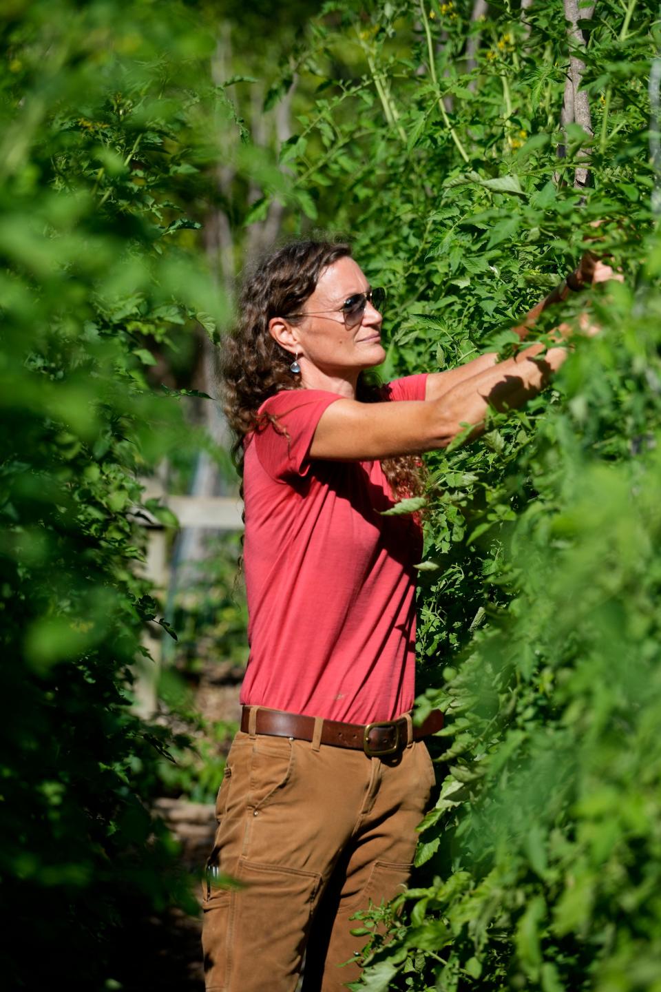 Melisa Hanson, owner of Baby Mama Botanicals, in what she calls ‘tomato alley’ on her neighbor's property where she grows additional produce.