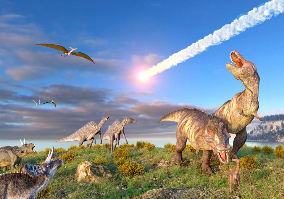 An artists depiction of the asteroid that wiped out the dinosaurs