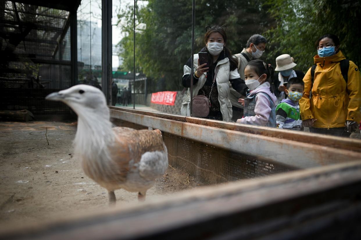 People wearing face masks visit Beijing Zoo on March 25, 2020 after it reopened its outdoor exhibit areas to the public after being closed due to the coronavirus outbreak.