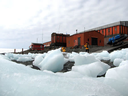 Blocks of ice are seen on the shore of Argentina's Carlini Base in Antarctica, January 12, 2017. Picture taken January 12, 2017 REUTERS/Nicolas Misculin