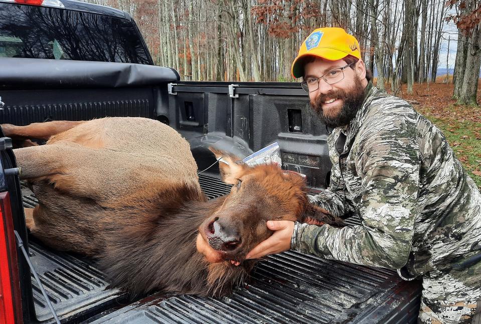 Nathan Wolf, of Reading, checked a cow elk Tuesday morning at the Pennsylvania Game Commission's check station in Benezette.