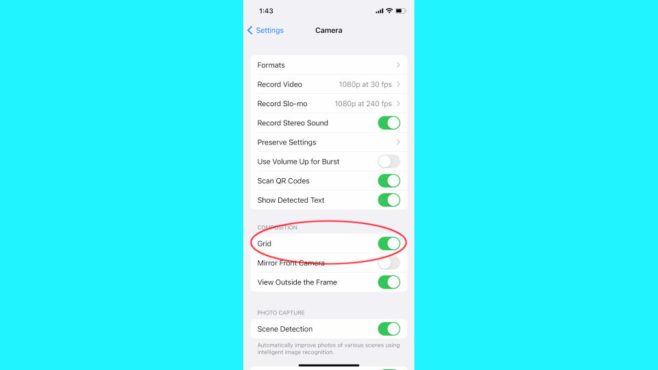 Turning on the grid for hidden Apple iPhone Camera Tips and Tricks.