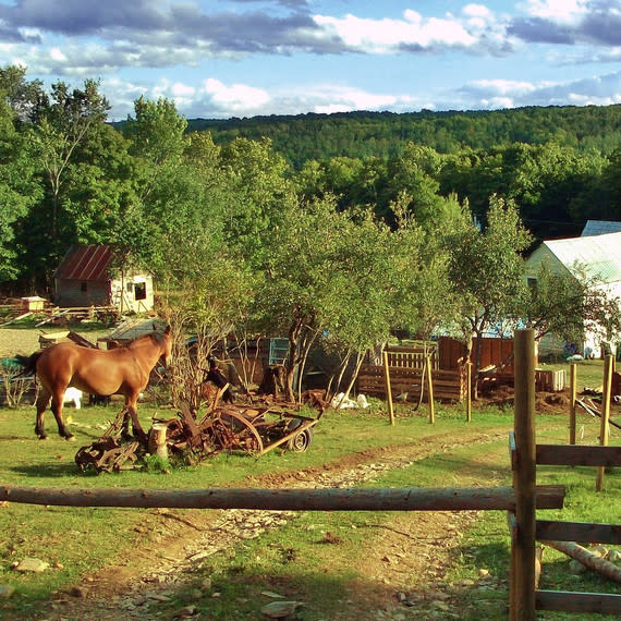 Wwoof Organisation