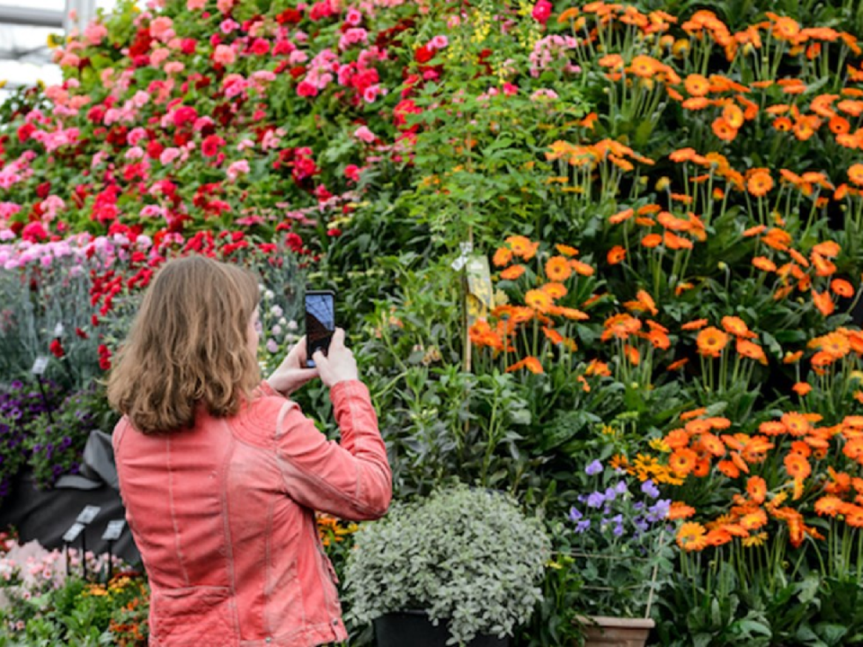 Brighten your mind with garden inspiration at beautiful Beaulieu (BBC Gardener’s World Live)
