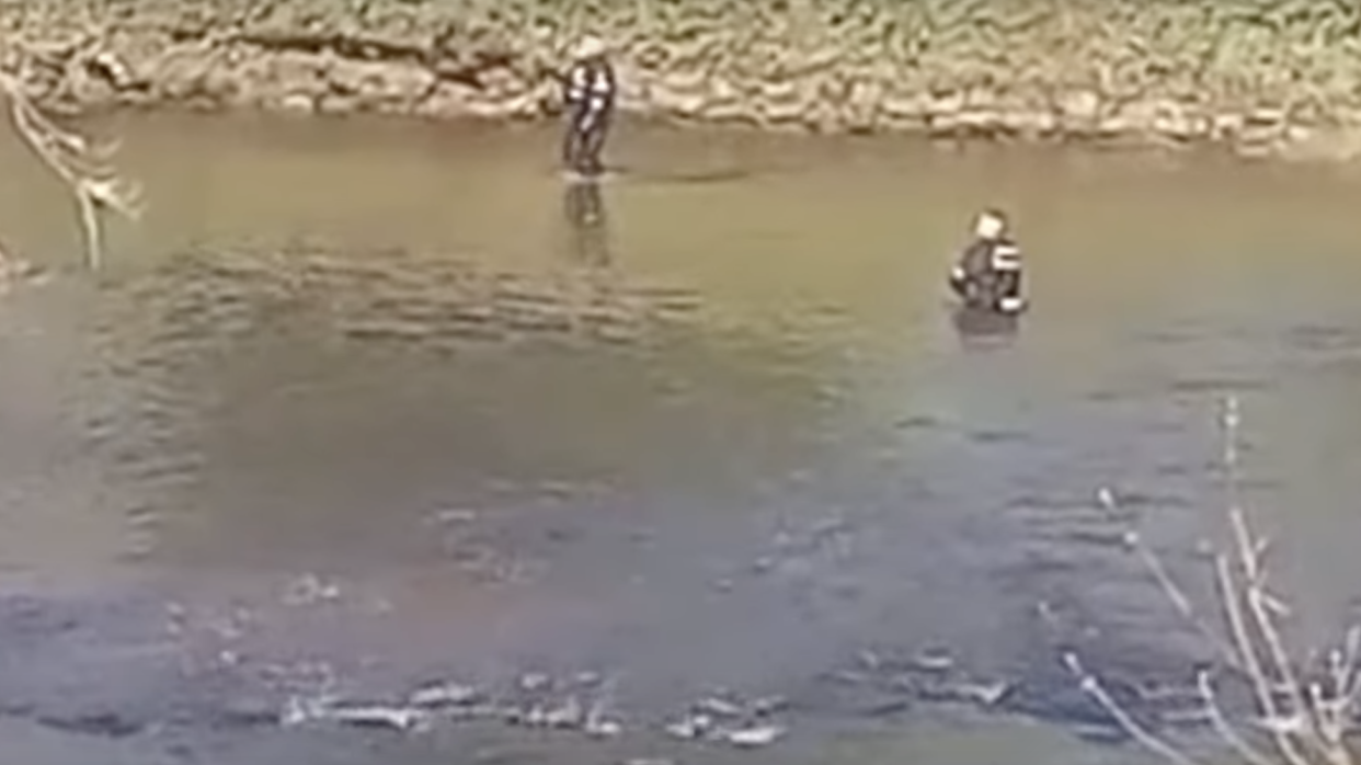 Video footage shared online shows police divers back at the scene where Nicola Bulley's body was found. (YouTube/MariaSolarz)