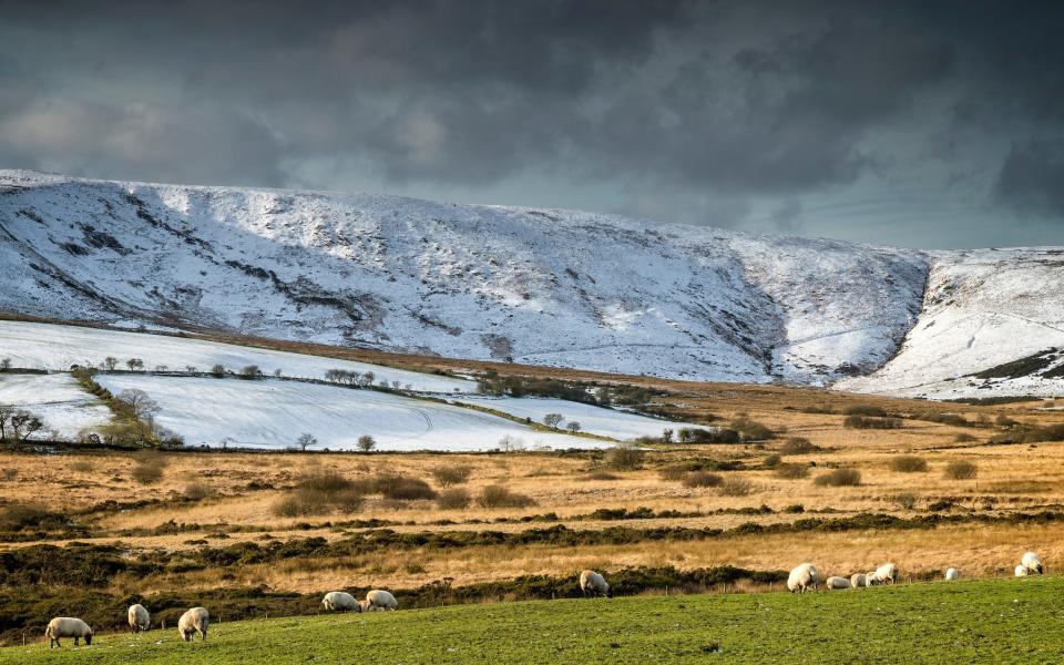 the Preseli Hills - Getty