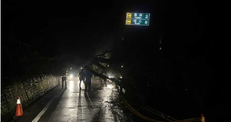 7日深夜彰化縣員林市員草路一棵大型路樹，因承受不住大雨襲擊，應聲倒塌，影響雙向車道。（圖／報系資料照）