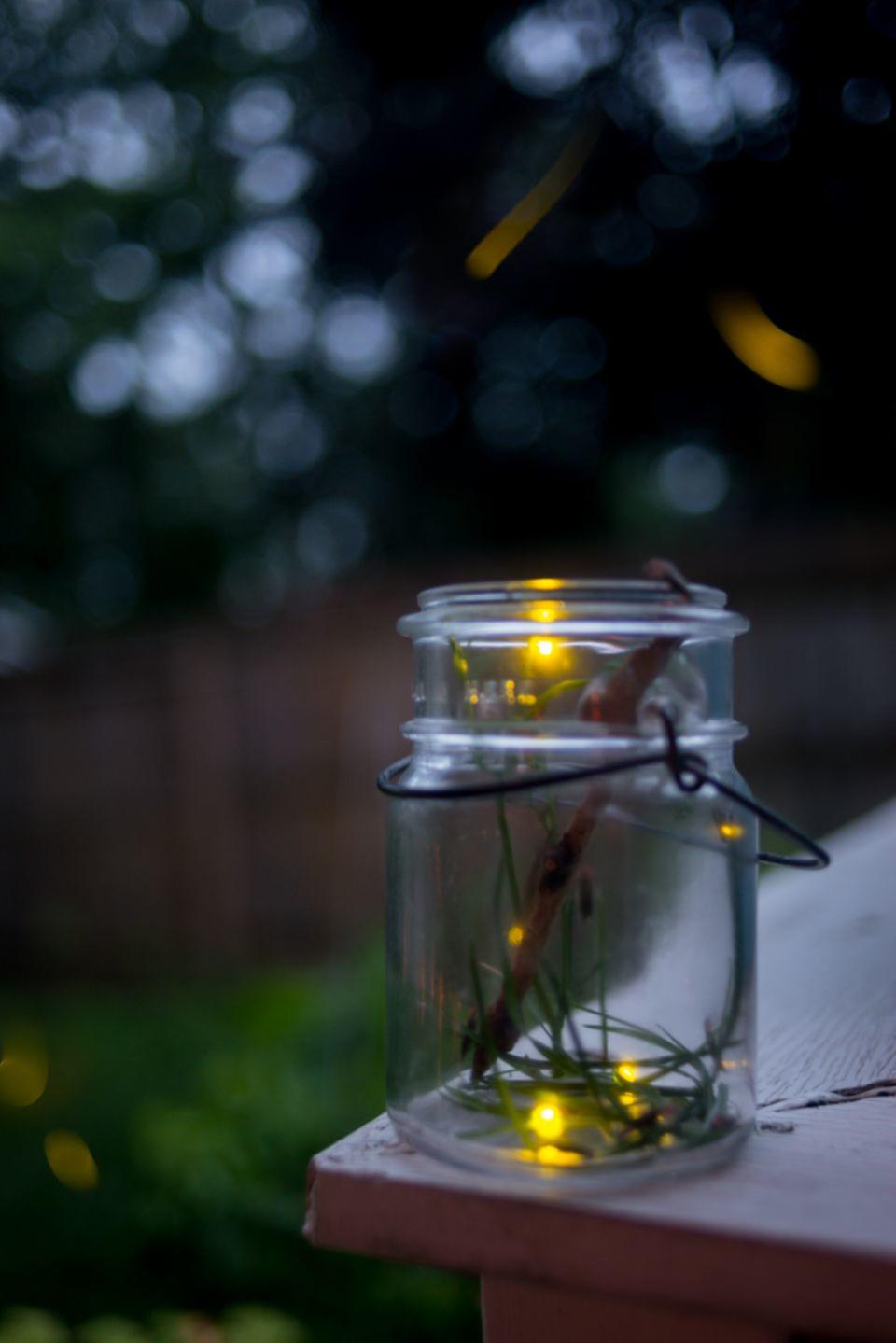 24) Catch Backyard Fireflies