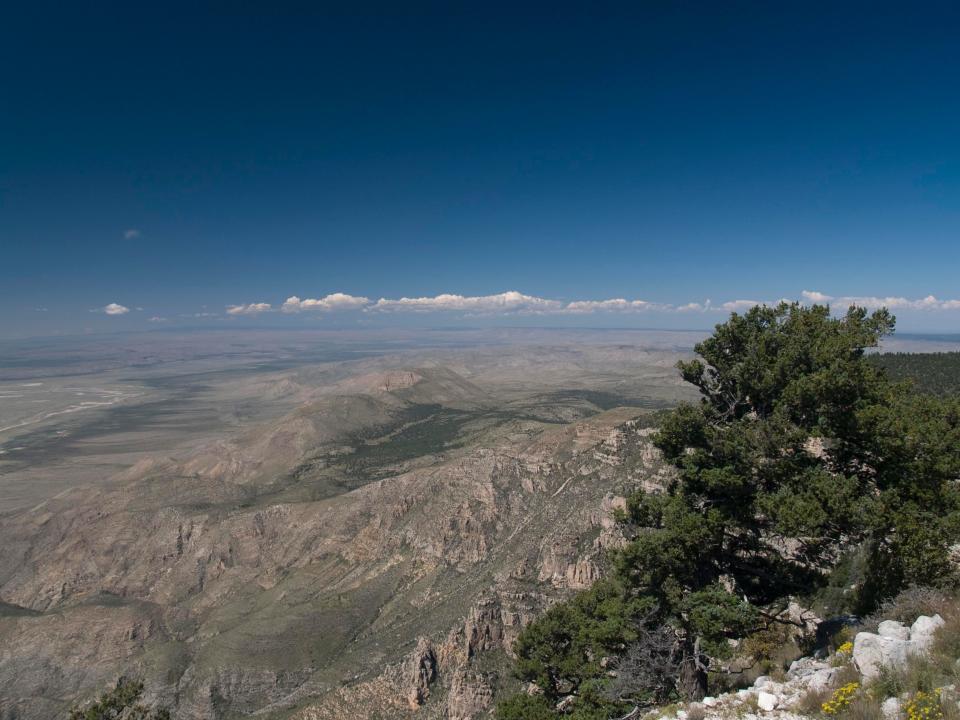 Guadalupe National Park preserves an ancient ocean reef, which later rose to form the highest point in Texas.