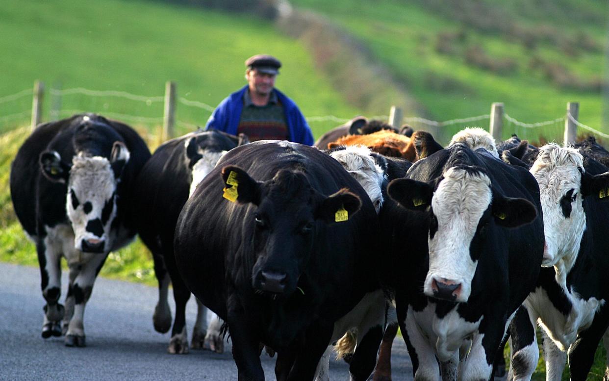 At the end of the Beara peninsula , in West Cork, - Getty INUTAN/Gamma-Rapho via Getty Imagesmages