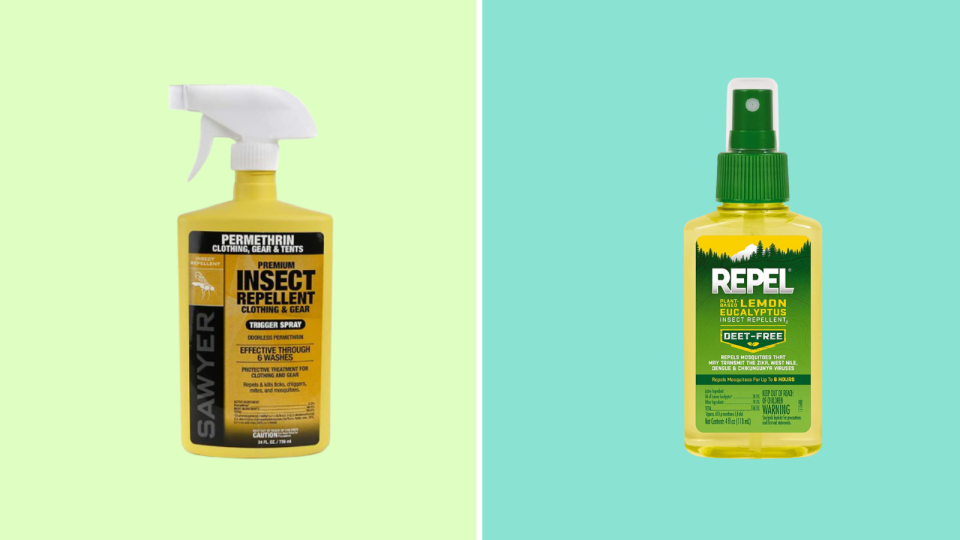 Keep uninvited guests away from your camping trip with repellent