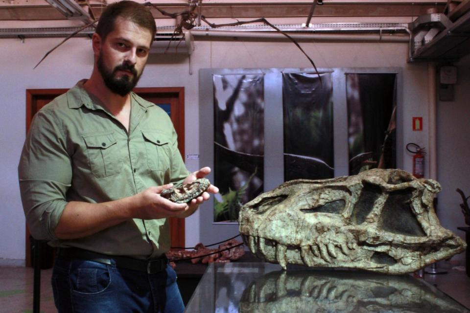 PHOTO: Paleontologist Rodrigo Müller holds the fossils of Parvosuchus aurelioi, an ancient crocodile-like reptile found in Brazil. (Janaina Brand Dillmann)
