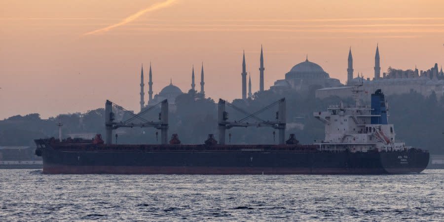 A tanker with Ukrainian grain near Istanbul