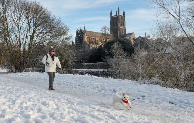 It was a frost walk for this dog in Worcester ( David Davies/PA)