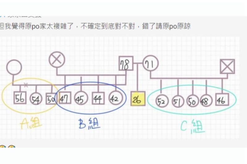 ▲有網友根據原PO的描述畫出家系圖。（圖／擷取自《Dcard》）