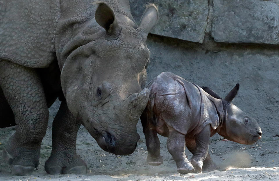 Die besten Tierfotos der Woche (01.09. bis 07.09.2018)