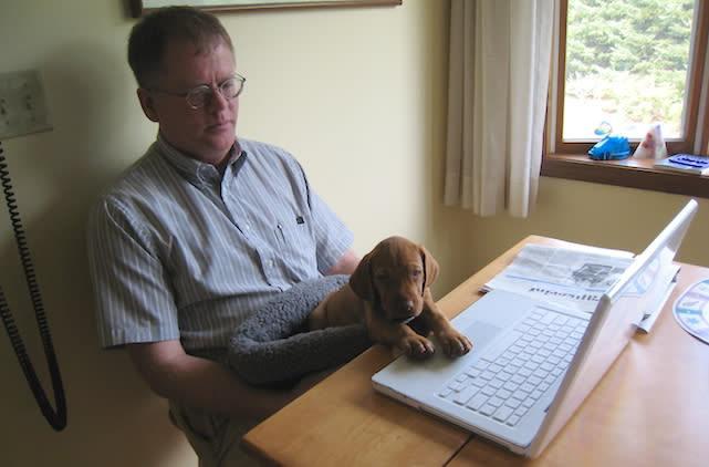 Vizsla puppy Jasper helping owner William Smith to program