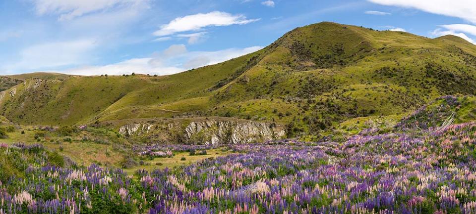 林迪斯山口（Image Source : Getty Creative/iStockphoto）