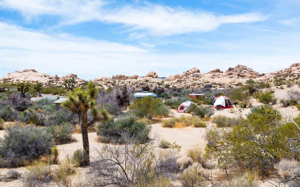 Camping area with tents and trailers in Joshuna National Park